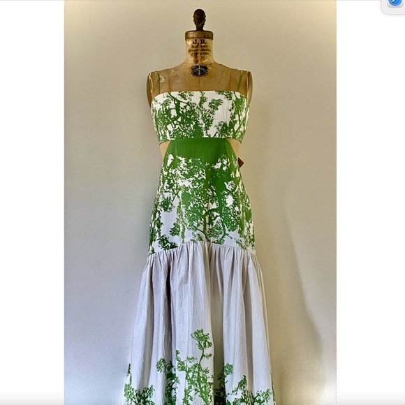Silvia Tcherassi Shannon Green Cyprus printed Cotton Dress Sz L New with… - Picture 10 of 15